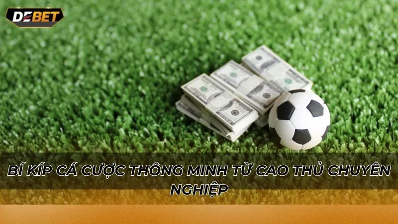 Bí kíp cá cược thông minh từ cao thủ chuyên nghiệp