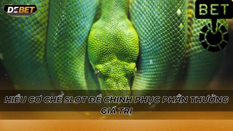 Hiểu cơ chế slot để chinh phục phần thưởng giá trị